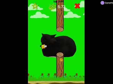Flappy Bird Spinning oia oia Cat